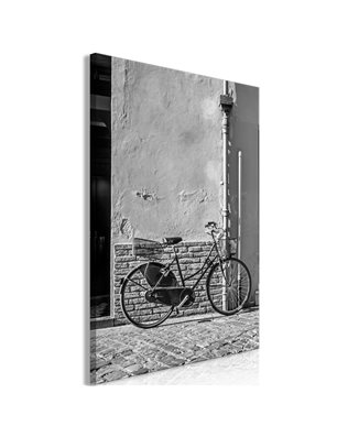 Quadro - Old Italian Bicycle (1 Part) Vertical