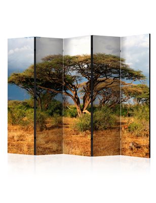 Paravento - Samburu National Reserve, Kenya II [Room Dividers]