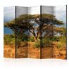 Paravento - Samburu National Reserve, Kenya II [Room Dividers]