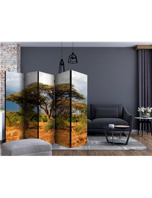 Paravento - Samburu National Reserve, Kenya II [Room Dividers]