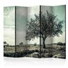 Paravento - tree - vintage II [Room Dividers]