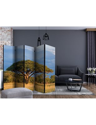 Paravento - African acacia tree, Hwange National Park, Zimbabwe II [Room Dividers]