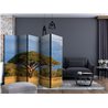 Paravento - African acacia tree, Hwange National Park, Zimbabwe II [Room Dividers]