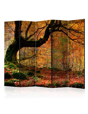 Paravento  Autumn, forest and leaves II [Room Dividers]