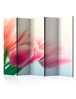 Paravento - Spring and tulips II [Room Dividers]