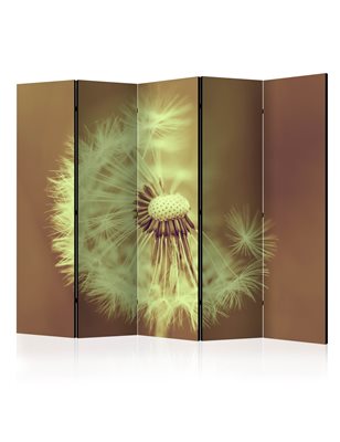 Paravento - dandelion (sepia) II [Room Dividers]