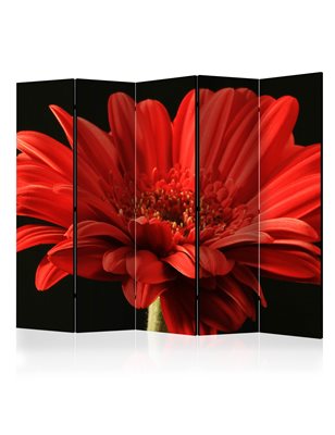 Paravento - Red gerbera flower II [Room Dividers]