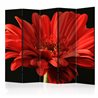 Paravento - Red gerbera flower II [Room Dividers]