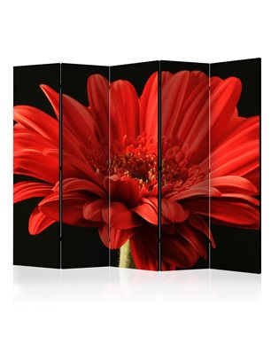 Paravento - Red gerbera flower II [Room Dividers]