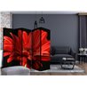 Paravento - Red gerbera flower II [Room Dividers]