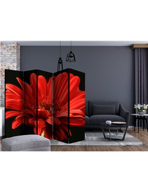 Paravento - Red gerbera flower II [Room Dividers]