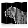 Paravento - White tiger II [Room Dividers]