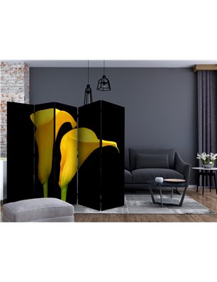 Paravento - Two yellow calla flowers on a black background II [Room Dividers]