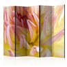 Paravento - Pastel colored dahlia flower with dew drops II [Room Dividers]