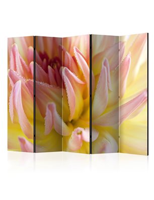 Paravento - Pastel colored dahlia flower with dew drops II [Room Dividers]