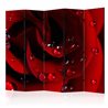 Paravento - Red rose with water drops II [Room Dividers]