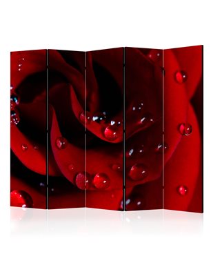 Paravento - Red rose with water drops II [Room Dividers]