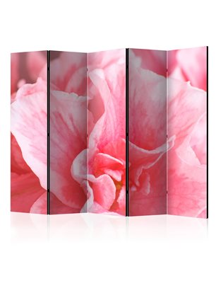 Paravento - Pink azalea flowers II [Room Dividers]