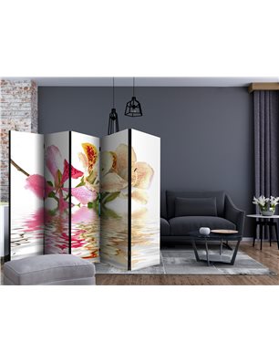 Paravento - Tropical flowers - orchid tree (bauhinia) II [Room Dividers]