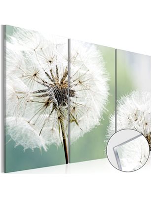 Quadri su vetro acrilico - Fluffy Dandelions [Glass]
