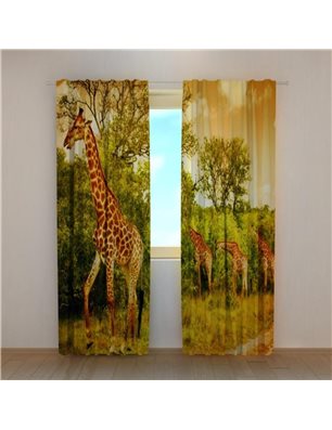 Foto Tende Giraffe