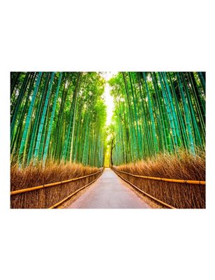 Fotomurale adesivo - Bamboo Forest