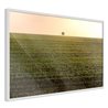 Poster - Farmland