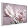 Poster - Pastel Tulips I