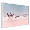 Poster - Flamingos Breaking into a Flight