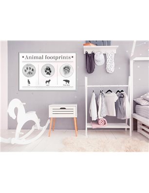 Poster - How to Recognize an Animal