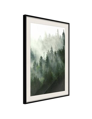 Poster - Steaming Forest
