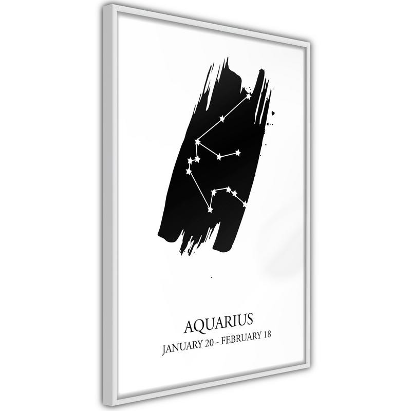 Poster - Zodiac: Aquarius I