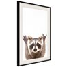Poster - Funny Racoon