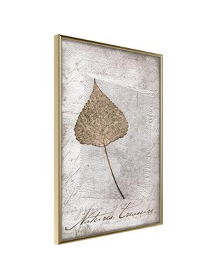 Poster - Dried Leaf