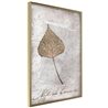 Poster - Dried Leaf