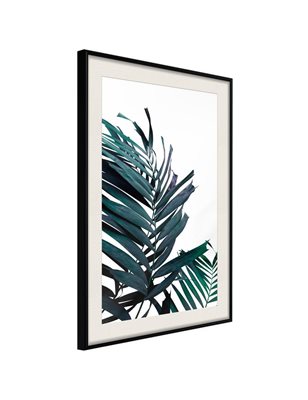 Poster Evergreen Palm Leaves
