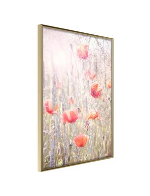 Poster  Poppies