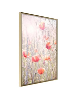 Poster - Poppies