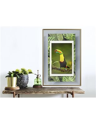 Poster - Toucan in the Frame