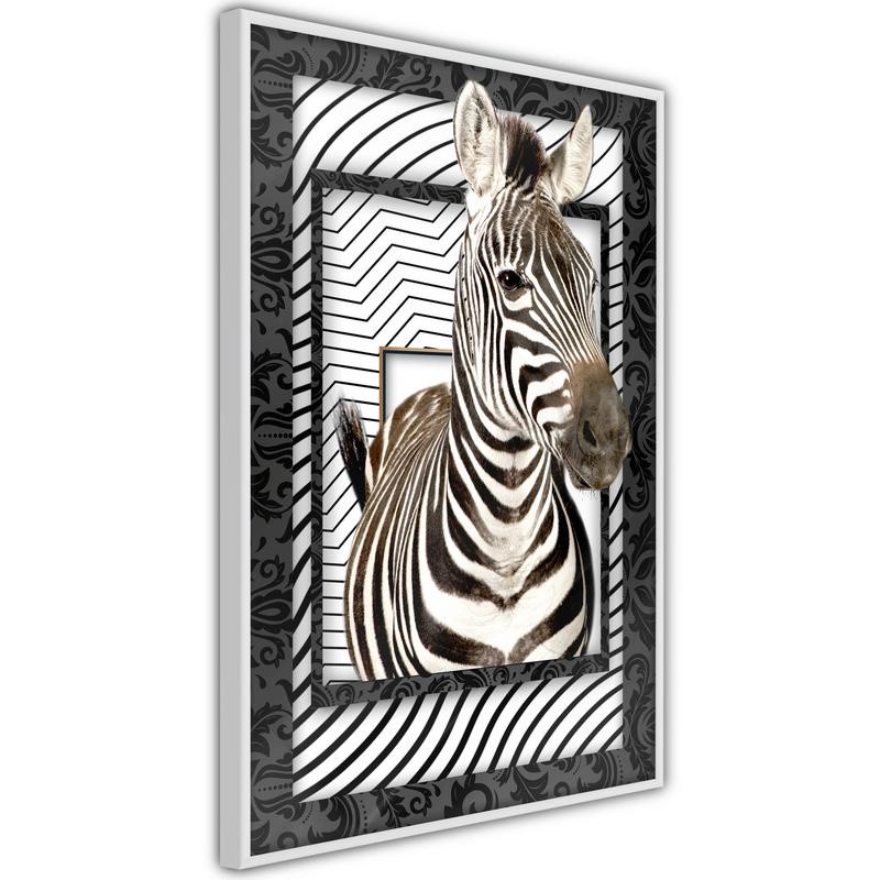 Poster - Zebra in the Frame