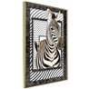 Poster - Zebra in the Frame