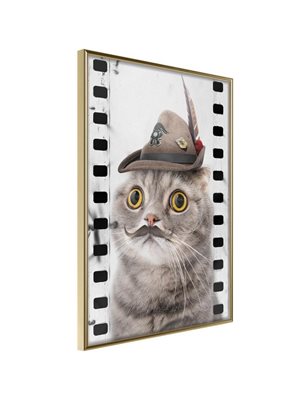 Poster - Dressed Up Cat