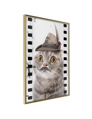 Poster - Dressed Up Cat