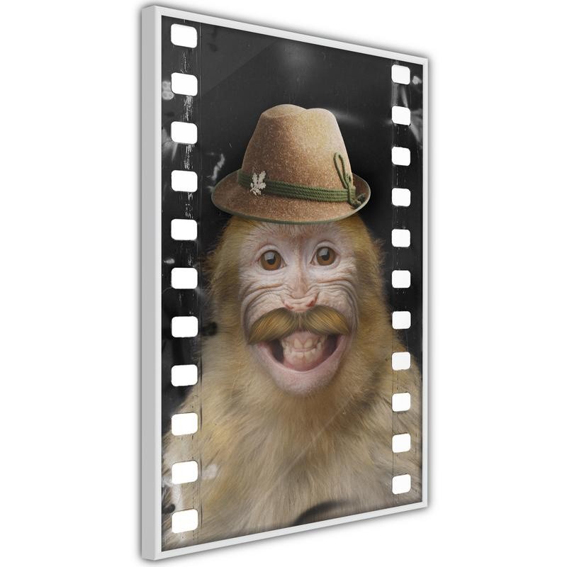 Poster - Dressed Up Monkey