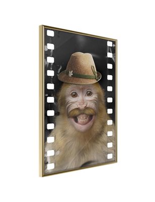 Poster - Dressed Up Monkey