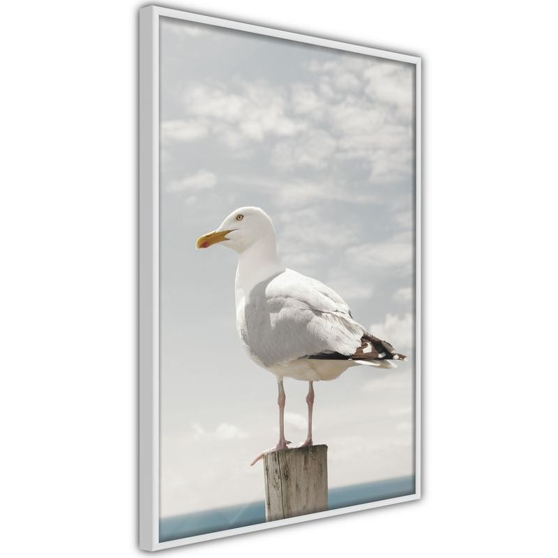 Poster - Curious Seagull