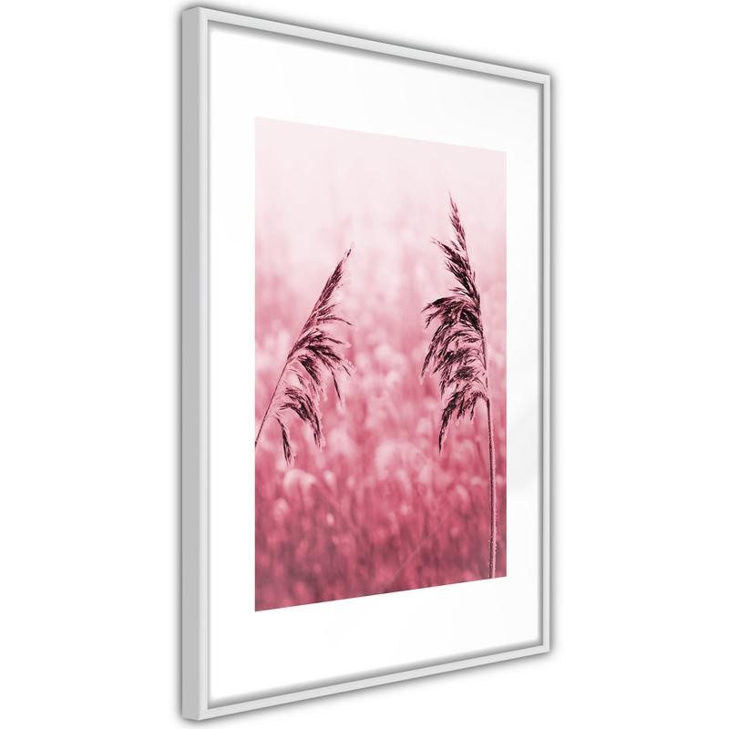 Poster - Amaranth Meadow