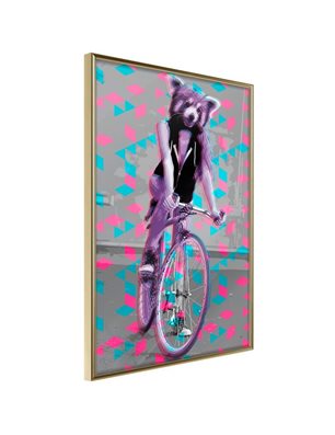 Poster - Extraordinary Cyclist