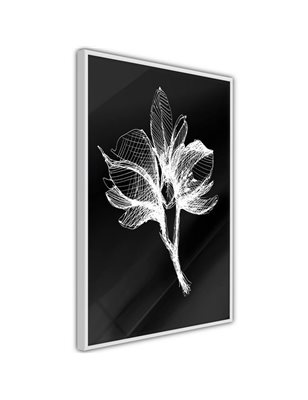 Poster - White Plant