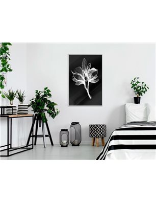 Poster - White Plant